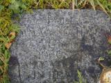 image of grave number 797326